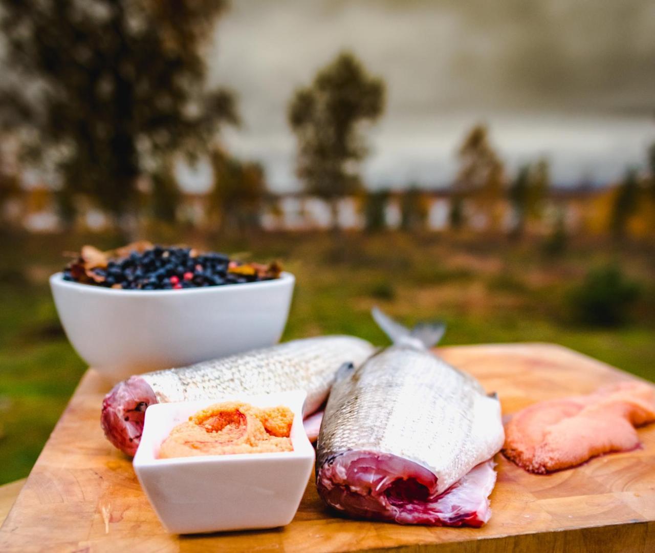 Arctic Gourmet Cabin Кируна Екстериор снимка