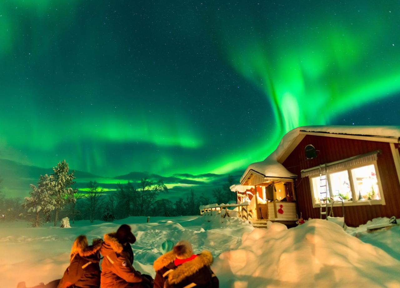 Arctic Gourmet Cabin Кируна Екстериор снимка